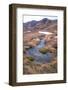 Flowing Grasses-Danny Head-Framed Photographic Print
