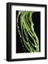 Flowing Green Liquid-Sprint-Framed Photographic Print