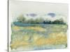 Flowing Landscape I-Tim OToole-Stretched Canvas