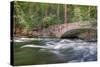 Flowing Merced River and Pohono Bridge, Yosemite-null-Stretched Canvas