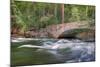 Flowing Merced River and Pohono Bridge, Yosemite-null-Mounted Photographic Print