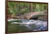 Flowing Merced River and Pohono Bridge, Yosemite-null-Framed Photographic Print