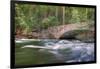 Flowing Merced River and Pohono Bridge, Yosemite-null-Framed Photographic Print