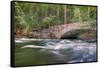 Flowing Merced River and Pohono Bridge, Yosemite-null-Framed Stretched Canvas