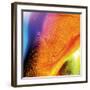 Flowing Orange, c.2008-Pier Mahieu-Framed Premium Giclee Print