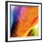 Flowing Orange, c.2008-Pier Mahieu-Framed Premium Giclee Print