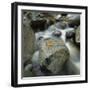 Flowing River-Micha Pawlitzki-Framed Photographic Print