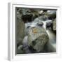 Flowing River-Micha Pawlitzki-Framed Photographic Print