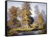 Flowing River-Frances Keffer-Framed Stretched Canvas