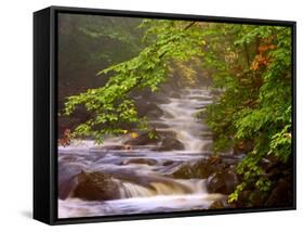 Flowing Streams Along the Appalachian Trail, East Arlington, Vermont, USA-Joe Restuccia III-Framed Stretched Canvas