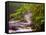 Flowing Streams Along the Appalachian Trail, East Arlington, Vermont, USA-Joe Restuccia III-Framed Stretched Canvas