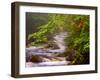 Flowing Streams Along the Appalachian Trail, East Arlington, Vermont, USA-Joe Restuccia III-Framed Photographic Print