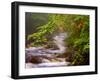 Flowing Streams Along the Appalachian Trail, East Arlington, Vermont, USA-Joe Restuccia III-Framed Photographic Print