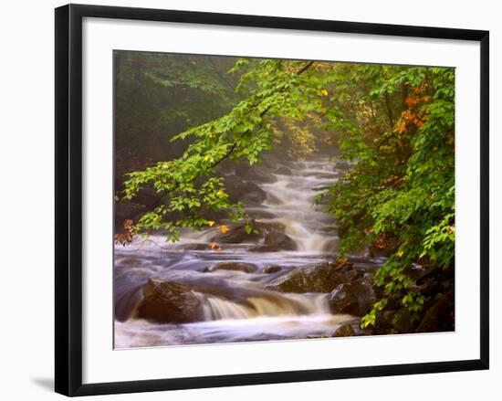 Flowing Streams Along the Appalachian Trail, East Arlington, Vermont, USA-Joe Restuccia III-Framed Photographic Print