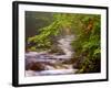 Flowing Streams Along the Appalachian Trail, East Arlington, Vermont, USA-Joe Restuccia III-Framed Photographic Print