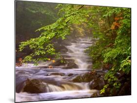 Flowing Streams Along the Appalachian Trail, East Arlington, Vermont, USA-Joe Restuccia III-Mounted Photographic Print