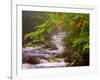 Flowing Streams Along the Appalachian Trail, East Arlington, Vermont, USA-Joe Restuccia III-Framed Photographic Print