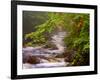 Flowing Streams Along the Appalachian Trail, East Arlington, Vermont, USA-Joe Restuccia III-Framed Photographic Print