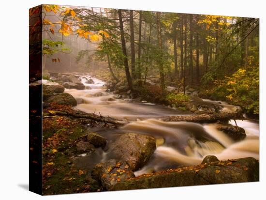 Flowing Streams Along the Appalachian Trail, East Arlington, Vermont, USA-Joe Restuccia III-Stretched Canvas