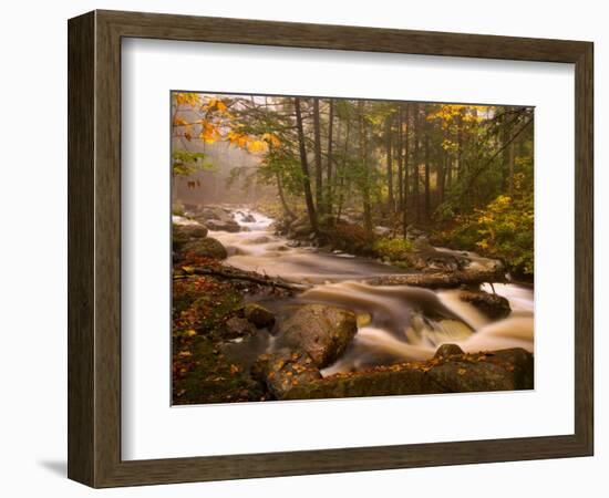 Flowing Streams Along the Appalachian Trail, East Arlington, Vermont, USA-Joe Restuccia III-Framed Photographic Print