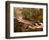 Flowing Streams Along the Appalachian Trail, East Arlington, Vermont, USA-Joe Restuccia III-Framed Photographic Print