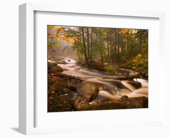 Flowing Streams Along the Appalachian Trail, East Arlington, Vermont, USA-Joe Restuccia III-Framed Photographic Print