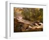 Flowing Streams Along the Appalachian Trail, East Arlington, Vermont, USA-Joe Restuccia III-Framed Photographic Print