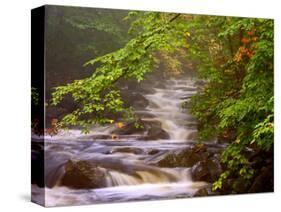 Flowing Streams Along the Appalachian Trail, East Arlington, Vermont, USA-Joe Restuccia III-Stretched Canvas