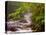 Flowing Streams Along the Appalachian Trail, East Arlington, Vermont, USA-Joe Restuccia III-Stretched Canvas