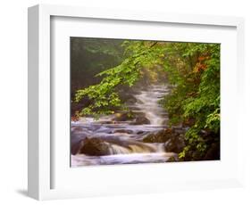 Flowing Streams Along the Appalachian Trail, East Arlington, Vermont, USA-Joe Restuccia III-Framed Photographic Print