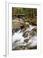 Flowing water cascade or waterfall, Flume Gorge, Franconia Notch, White Mountains, New Hampshire-Adam Jones-Framed Photographic Print