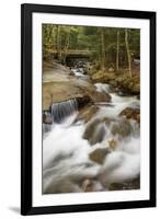 Flowing water cascade or waterfall, Flume Gorge, Franconia Notch, White Mountains, New Hampshire-Adam Jones-Framed Photographic Print