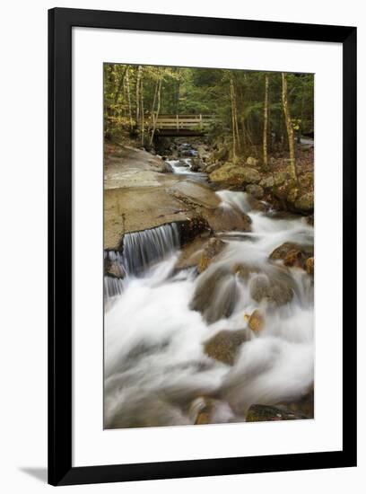 Flowing water cascade or waterfall, Flume Gorge, Franconia Notch, White Mountains, New Hampshire-Adam Jones-Framed Photographic Print