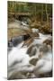 Flowing water cascade or waterfall, Flume Gorge, Franconia Notch, White Mountains, New Hampshire-Adam Jones-Mounted Photographic Print