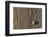 Flowing Water Creates Intricate Patterns in the Sand on a Southern California Beach-Neil Losin-Framed Photographic Print