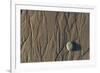 Flowing Water Creates Intricate Patterns in the Sand on a Southern California Beach-Neil Losin-Framed Photographic Print
