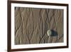 Flowing Water Creates Intricate Patterns in the Sand on a Southern California Beach-Neil Losin-Framed Photographic Print