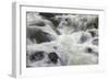 Flowing water in Firehole River, Yellowstone National Park, Wyoming-Adam Jones-Framed Photographic Print