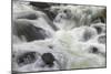 Flowing water in Firehole River, Yellowstone National Park, Wyoming-Adam Jones-Mounted Photographic Print