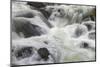 Flowing water in Firehole River, Yellowstone National Park, Wyoming-Adam Jones-Mounted Photographic Print