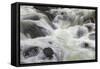 Flowing water in Firehole River, Yellowstone National Park, Wyoming-Adam Jones-Framed Stretched Canvas