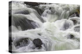 Flowing water in Firehole River, Yellowstone National Park, Wyoming-Adam Jones-Stretched Canvas