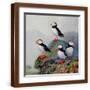 Brown Frame