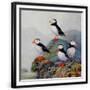 Chelsea Black