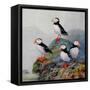 Canvas Black