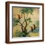 Brown Frame