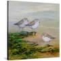 Stretched Canvas
