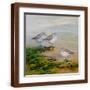 Brown Frame