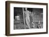 Floyd Burroughs and Tengle children in Hale County, Alabama, 1936-Walker Evans-Framed Photographic Print