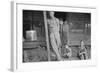 Floyd Burroughs and Tengle children in Hale County, Alabama, 1936-Walker Evans-Framed Photographic Print